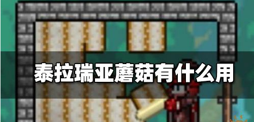 泰拉瑞亚蘑菇有什么用-蘑菇作用介绍