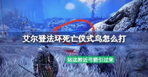 艾尔登法环死亡仪式鸟怎么打-死亡仪式鸟打法攻略
