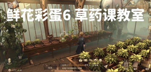 哈利波特魔法觉醒6处鲜花彩蛋位置分享：六处鲜花怎么获得图片6