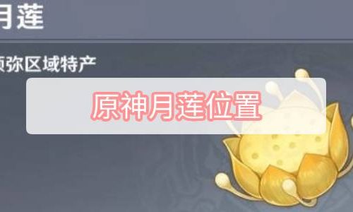 原神月莲位置