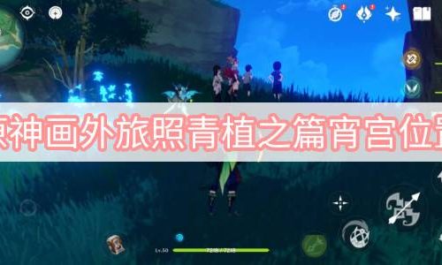 原神画外旅照青植之篇宵宫位置