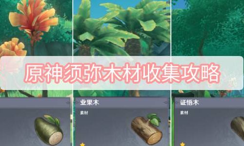 原神须弥木材收集攻略