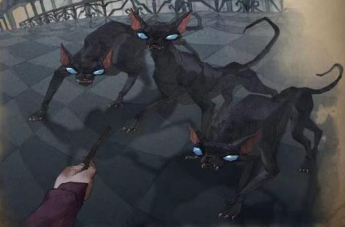 哈利波特魔法觉醒灵猫图鉴