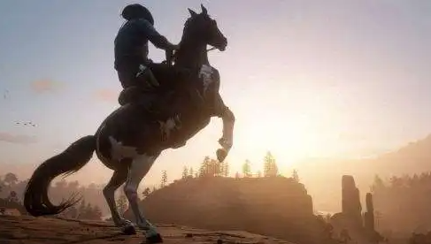 荒野大镖客2捕猎大师挑战6攻略