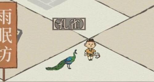 江南百景图小动物孔雀图鉴