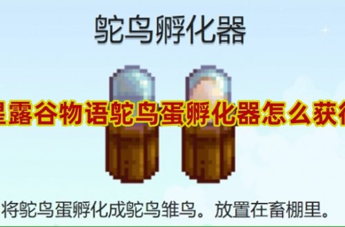 星露谷物语鸵鸟蛋孵化器怎么得