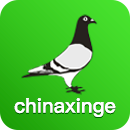 中国信鸽信息网手机版