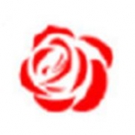 残花视频vip永久版